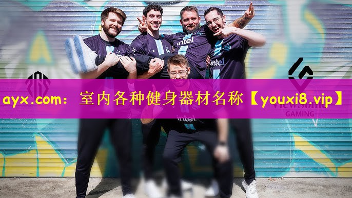 ayx.com：室内各种健身器材名称