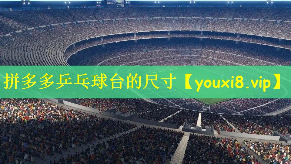 拼多多乒乓球台的尺寸