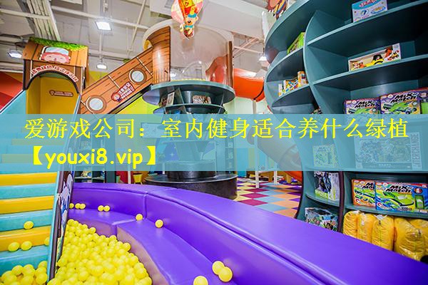爱游戏公司：室内健身适合养什么绿植