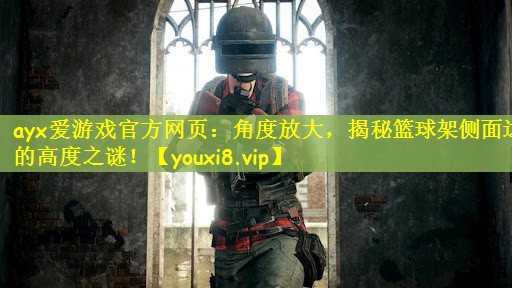ayx爱游戏官方网页：角度放大，揭秘篮球架侧面边的高度之谜！