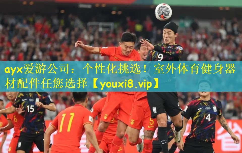ayx爱游公司：个性化挑选！室外体育健身器材配件任您选择