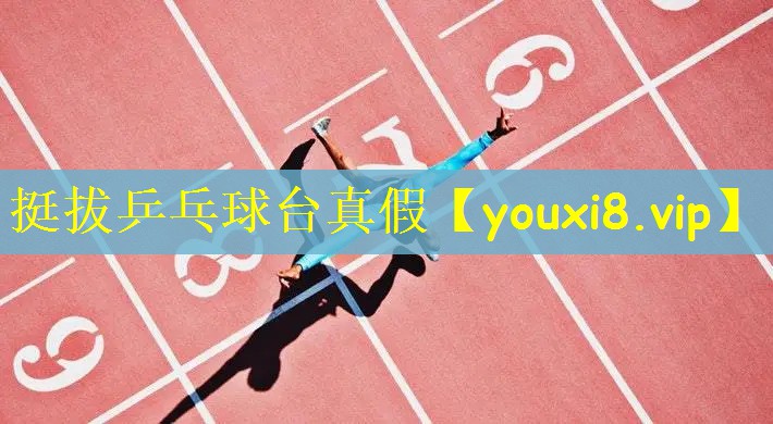 挺拔乒乓球台真假