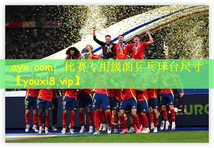 ayx.com：比赛专用级的乒乓球台尺寸