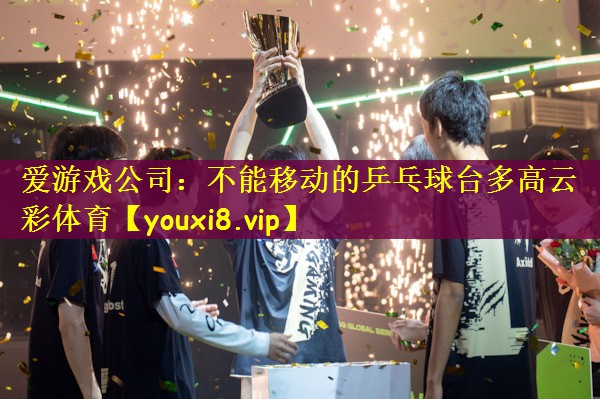 爱游戏公司：不能移动的乒乓球台多高云彩体育