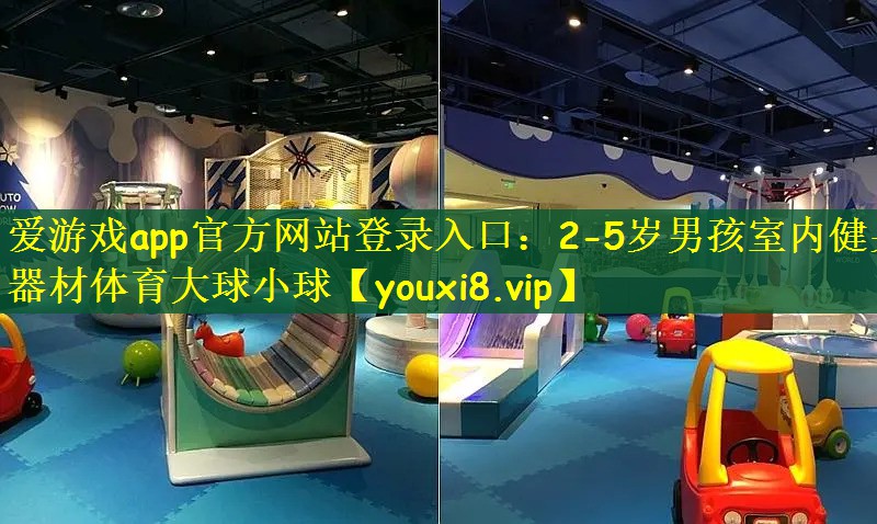 爱游戏app官方网站登录入口：2-5岁男孩室内健身器材体育大球小球