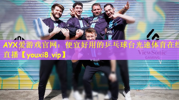 AYX爱游戏官网：便宜好用的乒乓球台光速体育在线直播