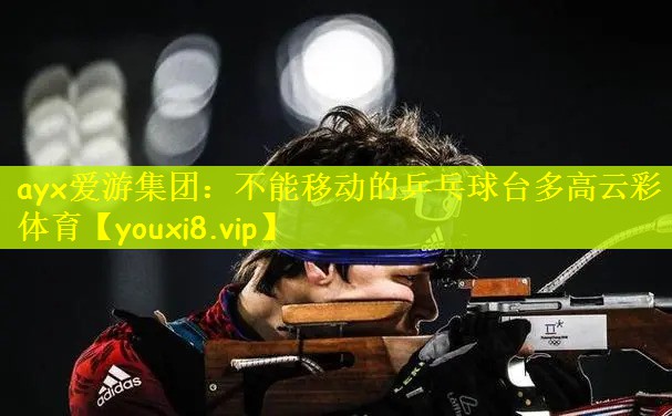 ayx爱游集团：不能移动的乒乓球台多高云彩体育