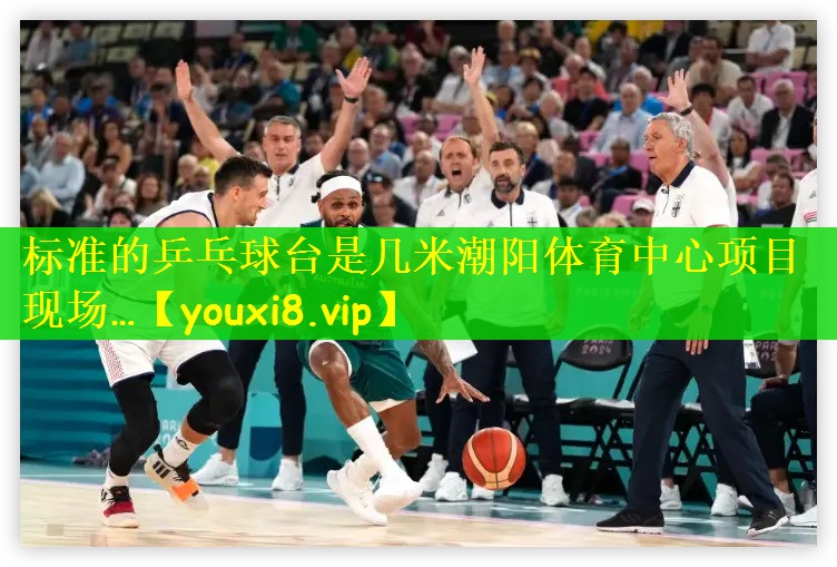 标准的乒乓球台是几米潮阳体育中心项目现场…