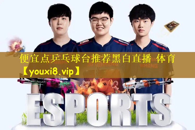 便宜点乒乓球台推荐黑白直播 体育