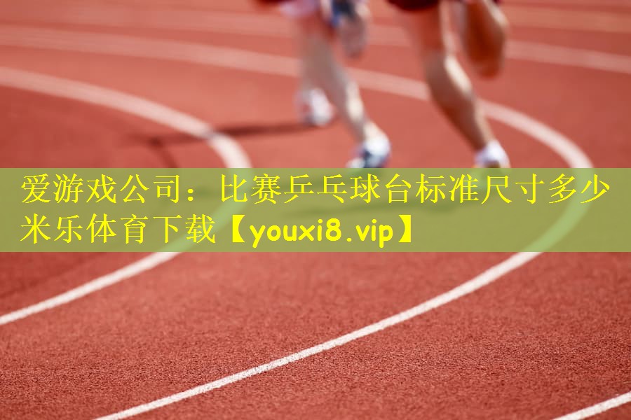 爱游戏公司：比赛乒乓球台标准尺寸多少米乐体育下载