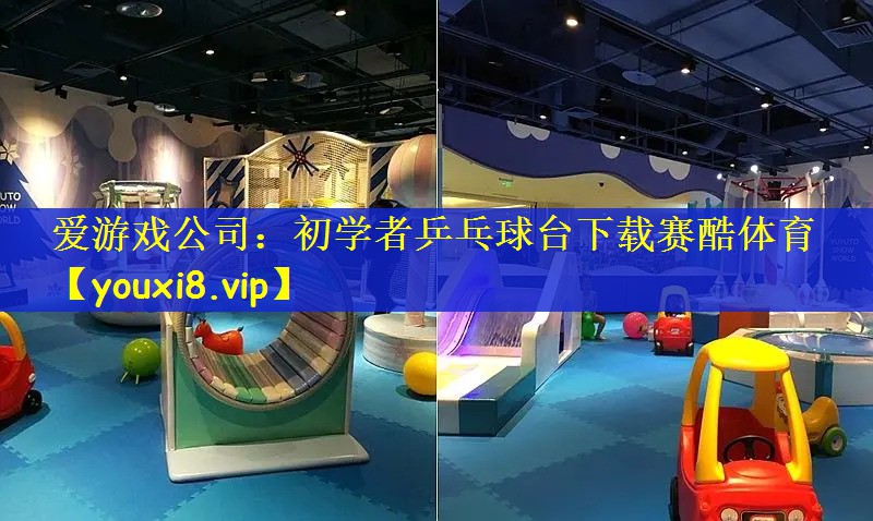 爱游戏公司：初学者乒乓球台下载赛酷体育