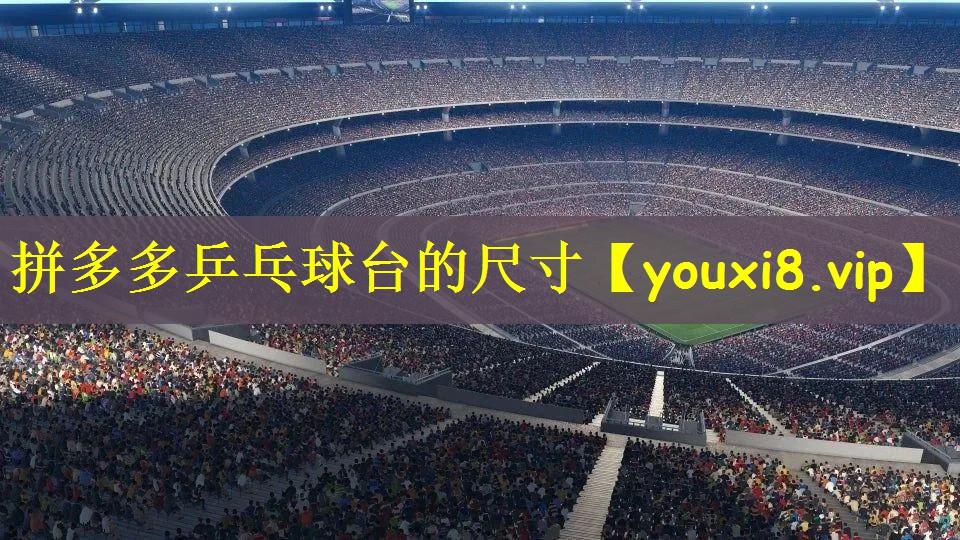 拼多多乒乓球台的尺寸