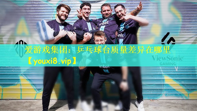 乒乓球台质量差异在哪里