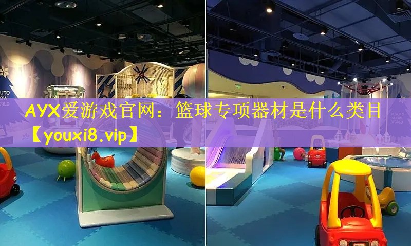 篮球专项器材是什么类目