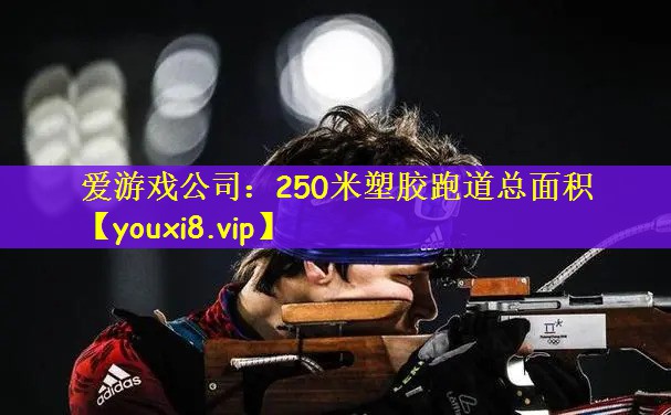 250米塑胶跑道总面积