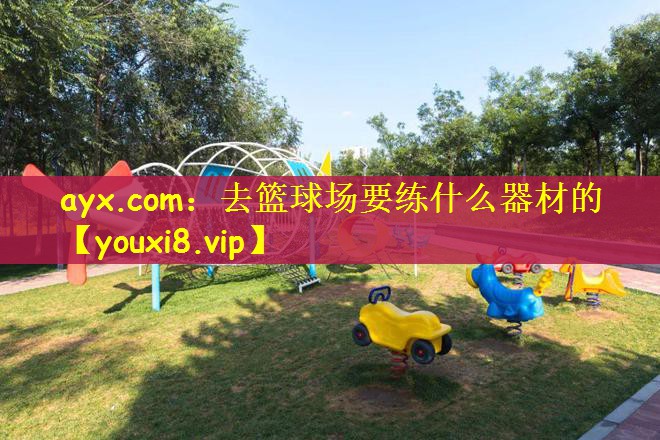 去篮球场要练什么器材的