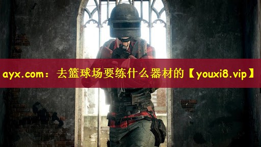 去篮球场要练什么器材的
