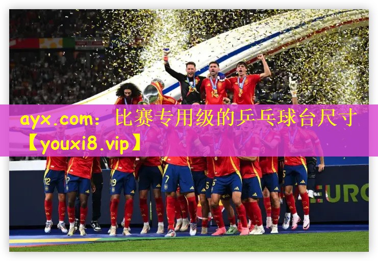 比赛专用级的乒乓球台尺寸