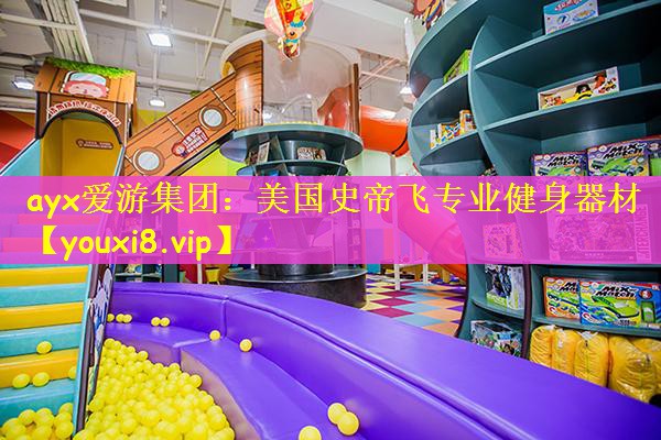 美国史帝飞专业健身器材