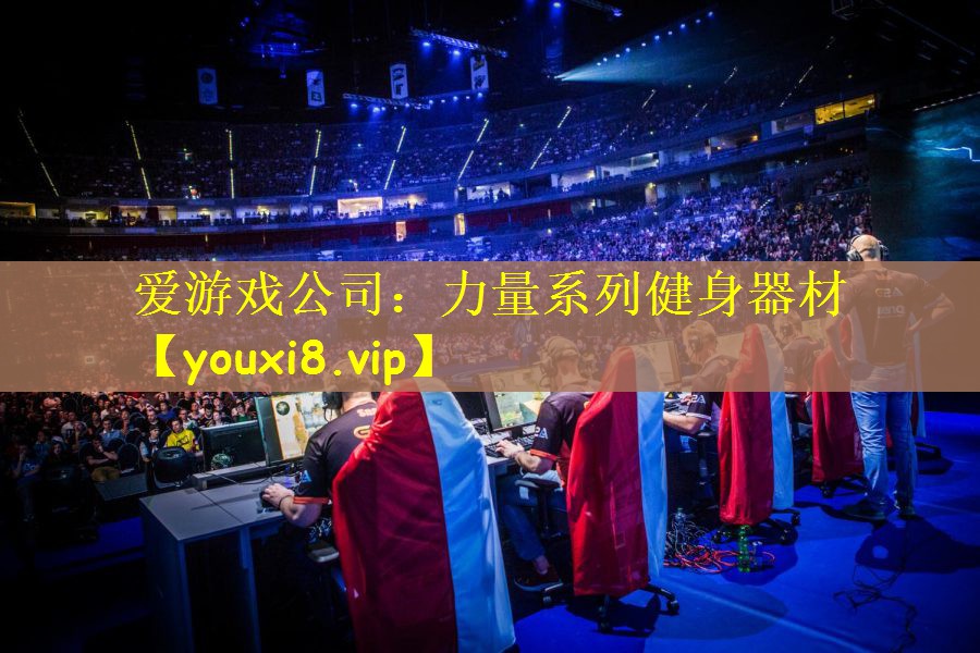 爱游戏公司：力量系列健身器材